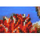 Main Bead Embroidery Kit Edem