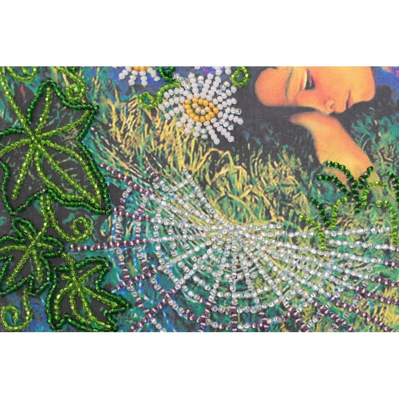Main Bead Embroidery Kit Fabulous dream