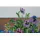 Main Bead Embroidery Kit Summer aroma-1