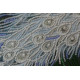 Main Bead Embroidery Kit White happiness