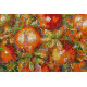Main Bead Embroidery Kit Pomegranate tree