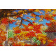 Main Bead Embroidery Kit Beauty of autumn