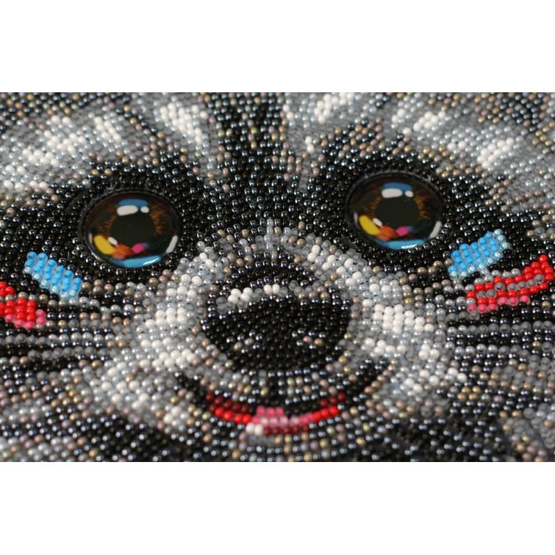 Main Bead Embroidery Kit Raccoon wanted
