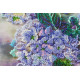 Main Bead Embroidery Kit Hydrangeas