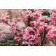Main Bead Embroidery Kit Flir