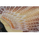 Main Bead Embroidery Kit Black Diamond
