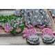 Main Bead Embroidery Kit Having a dessert