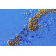 Main Bead Embroidery Kit The Golden