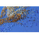 Main Bead Embroidery Kit The Golden