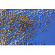 Main Bead Embroidery Kit The Golden