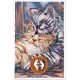 Main Bead Embroidery Kit Purring