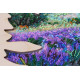 Creativity kits/Bead embroidery kits  with a wooden frame Fields of Provence