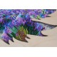 Creativity kits/Bead embroidery kits  with a wooden frame Fields of Provence