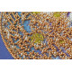 Main Bead Embroidery Kit Cadence-1