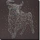 Main Bead Embroidery Kit Constellation Taurus