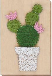 Creative Kit/String Art Cactus