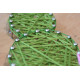 Creative Kit/String Art Cactus