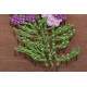Creative Kit/String Art Lavender
