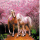 Charts on artistic canvas Horses In Love