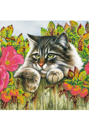Charts on artistic canvas Fluffy Robber