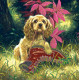 Charts on artistic canvas Successful Hunting