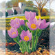 Charts on artistic canvas Spring in Provence