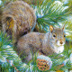 Charts on artistic canvas Squirrel