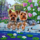 Charts on artistic canvas Couple