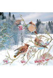 Charts on artistic canvas Waxbirds