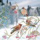 Charts on artistic canvas Waxbirds