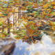 Charts on artistic canvas Puddle's reflections