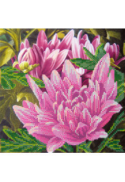 Charts on artistic canvas Pink lotus