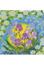 Charts on artistic canvas Tender fleur-de-luce
