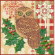 Charts on artistic canvas Owl and holly