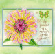 Charts on artistic canvas Zinnia
