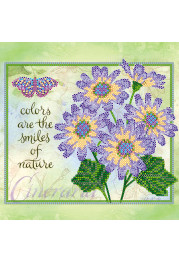 Charts on artistic canvas Cineraria
