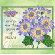 Charts on artistic canvas Cineraria