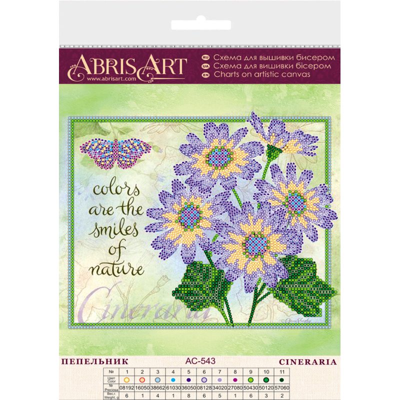 Charts on artistic canvas Cineraria