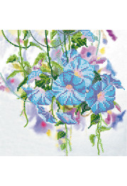 Charts on artistic canvas Convolvulus