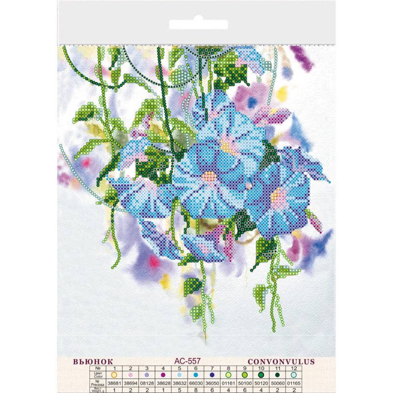 Charts on artistic canvas Convolvulus