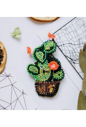 Decoration Cactus
