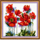 Cross-stitch kits Scarlet poppies