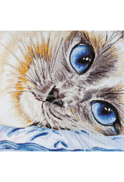 Cross-stitch kits Sapphire eyes