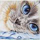 Cross-stitch kits Sapphire eyes