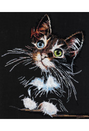 Cross-stitch kits Fluffy kitten