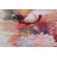 Cross-stitch kits Lucky