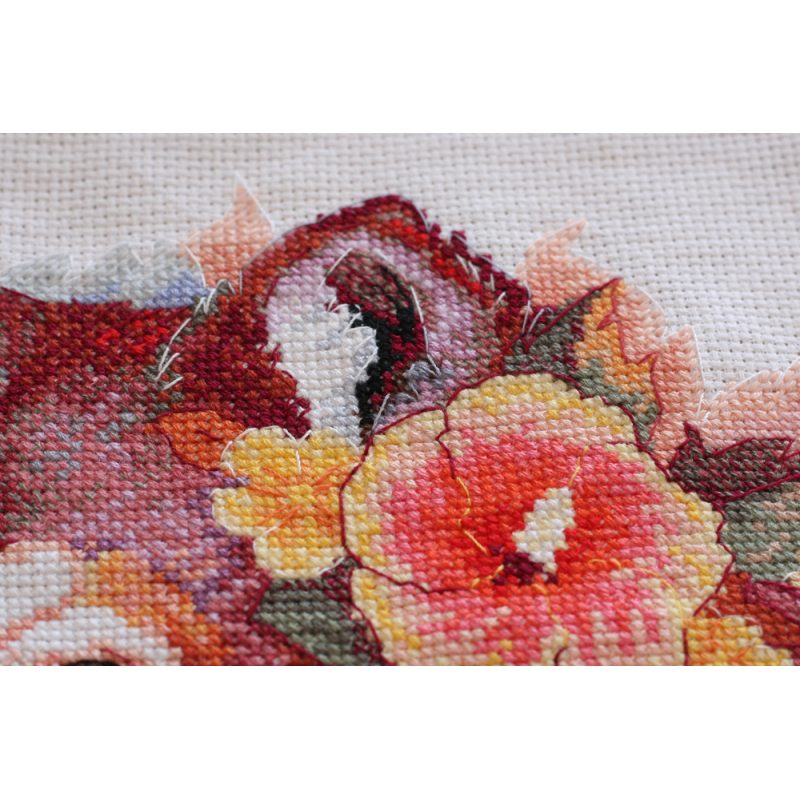 Cross-stitch kits Lucky