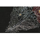 Cross-stitch kits Feather-1