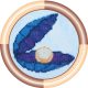 Mini Bead embroidery kit Shell