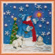 Mini Bead embroidery kit Fairy night